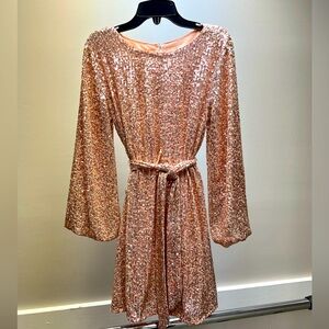 Girl Sequin Dress Size 6
